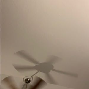 Meet your Posher, Riley